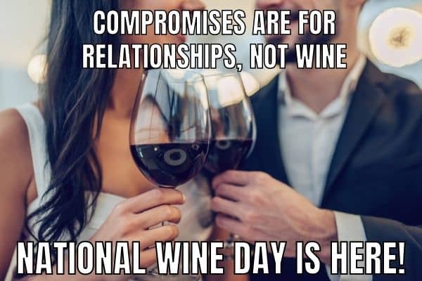Funny National Wine Day Quote on Relationship