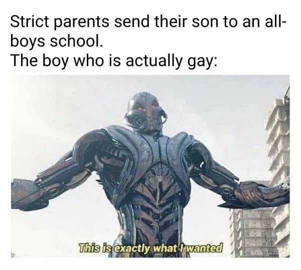 Gay Boy Meme on Parents