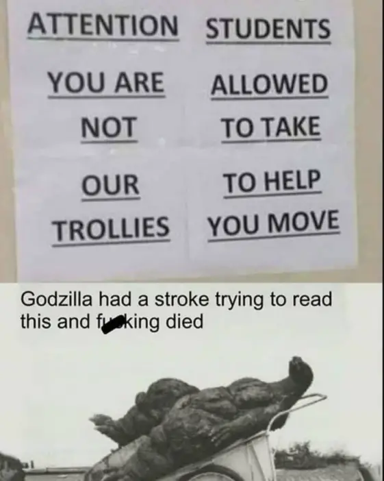 Godzilla Had A Stroke Meme Template