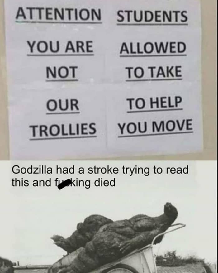 Godzilla Stroke and died meme