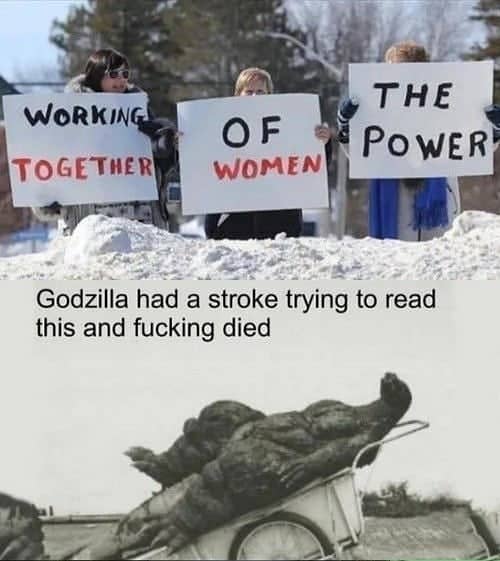 Godzilla had a stroke while reading this and fucking died meme