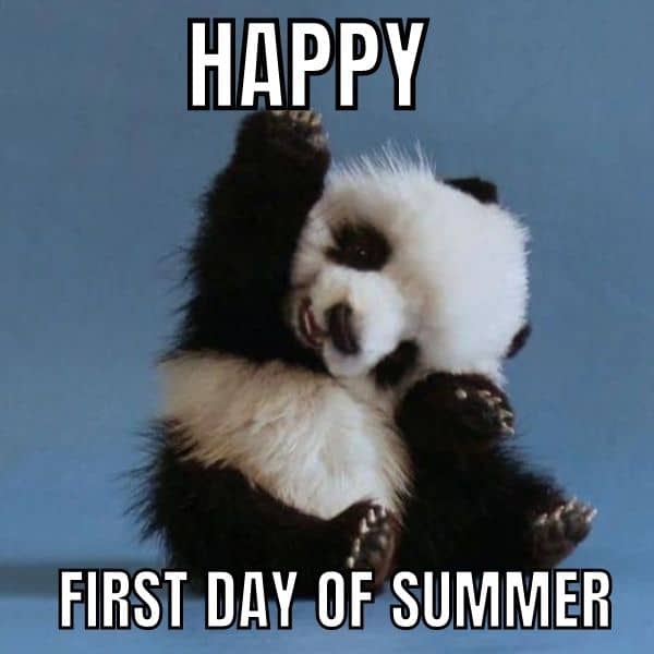 Happy First Day Of Summer Meme