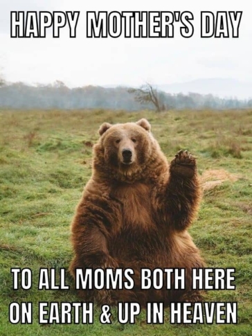 50 Best Mother's Day Memes To Send Mom In 2025