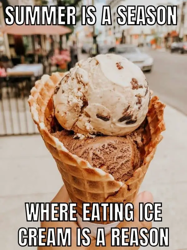 Ice Cream Meme on Summer