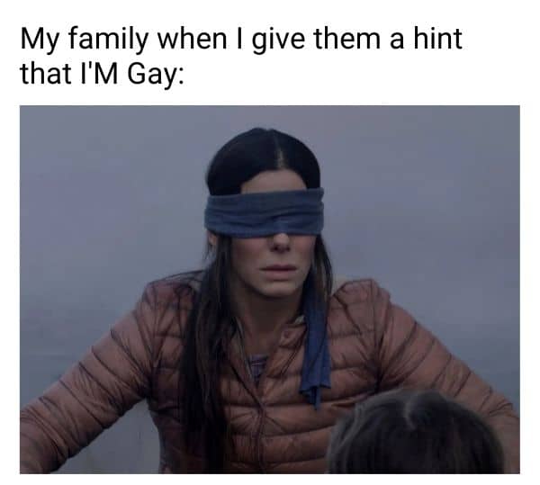 Im gay Meme