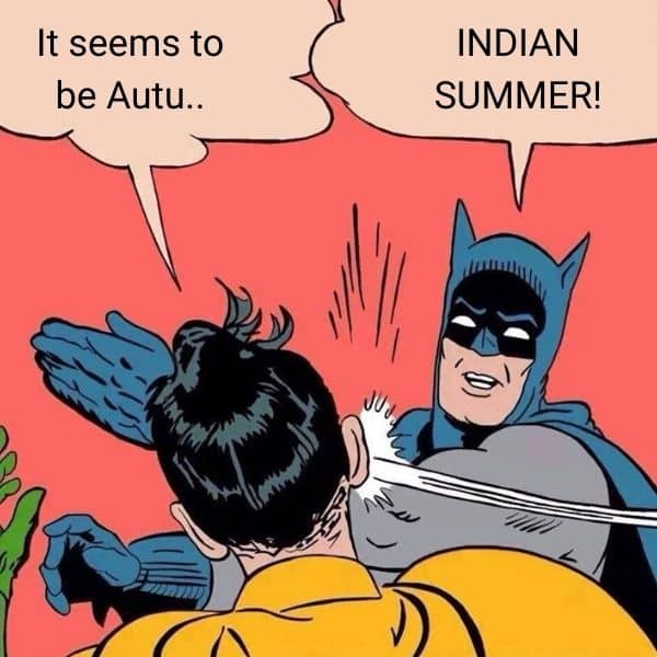 Indian Summer Meme