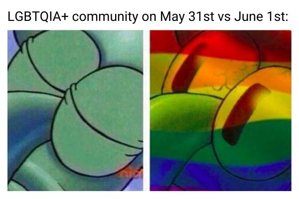 LGBTQIA+ Meme on Pride