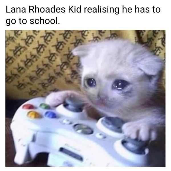 Lana Rhoades Kid Meme on School