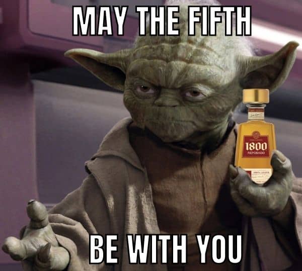 May The Fifth Be With You Meme