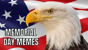 Memorial Day Memes on US Flag