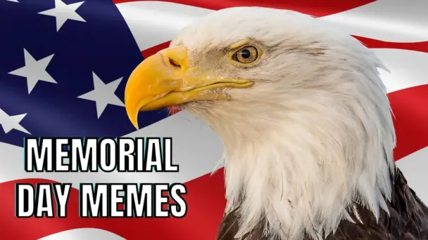 25 Best Memorial Day Memes For Patriotic Laughs In 2023