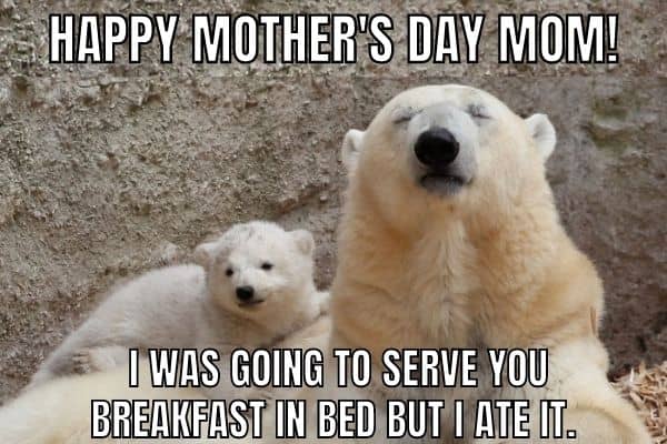 Mothers Day Cute Meme