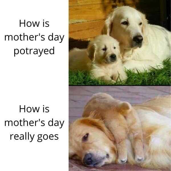 Mothers Day Meme for friends