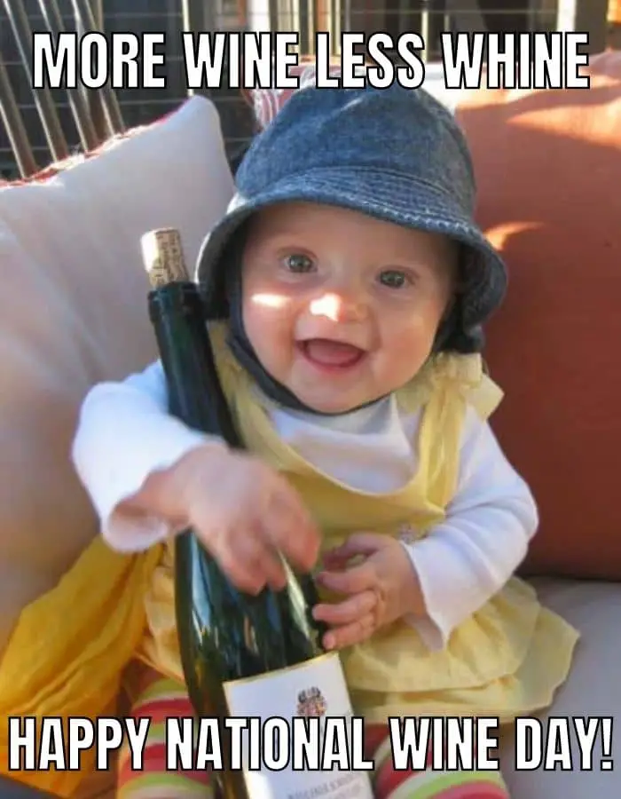 National Wine Day Meme on Baby