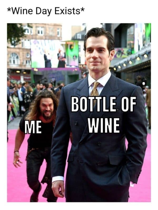 30 Best National Wine Day Memes To Uncork Fun In 2024