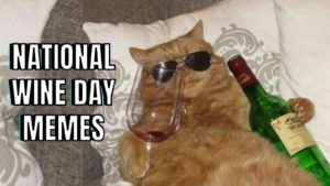 National Wine Day Memes on Cat