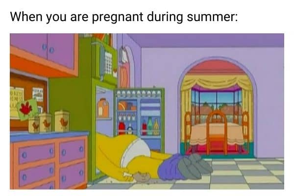Pregnant In Summer Meme