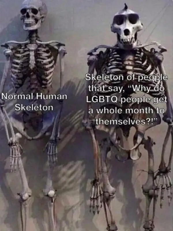 Pride Month Meme on Skeleton