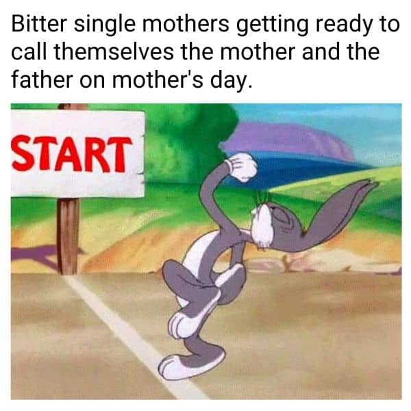 Single Mothers Day Meme