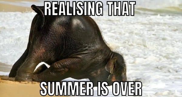 Summer Is Over Meme