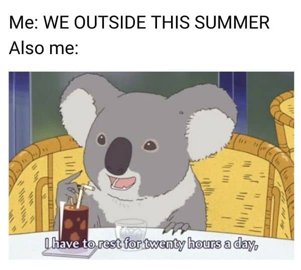 Summer Meme on I have to rest for twenty hours a day