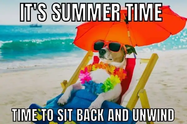Summer Time Meme