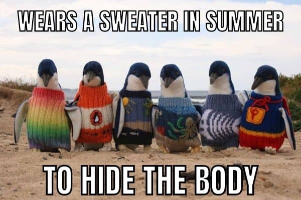 Sweater In Summer Meme on Penguin