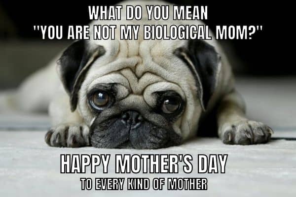 Sweet Mothers Day Meme