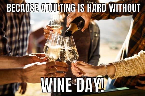 Wine Day Meme on Adulting