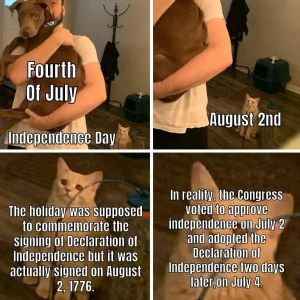 Best 4th Of July Meme on Declaration of Independence