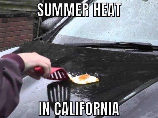 California Heat Wave Meme on Summer
