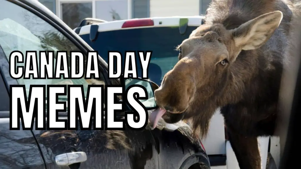 20 Best Canada Day Memes In 2024 That Are Funny AF