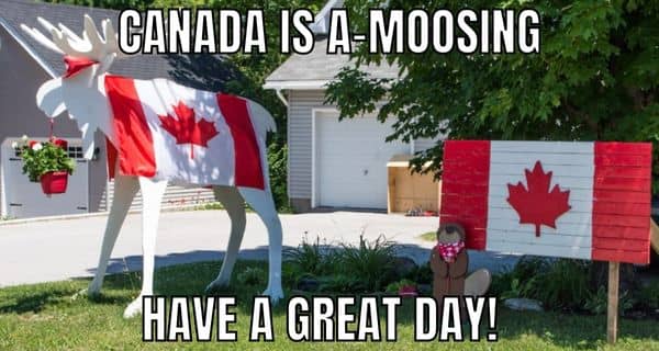 Canada Moose Meme