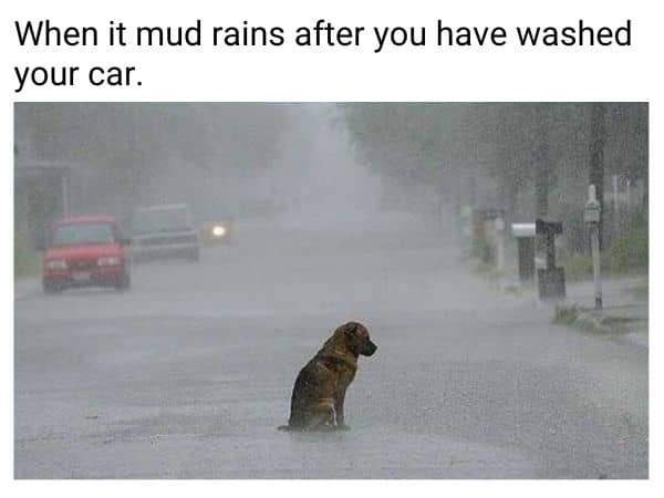 Car Wash Meme on Mud Rain
