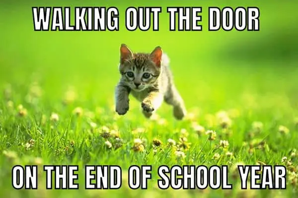 End Of School Year Meme on Students