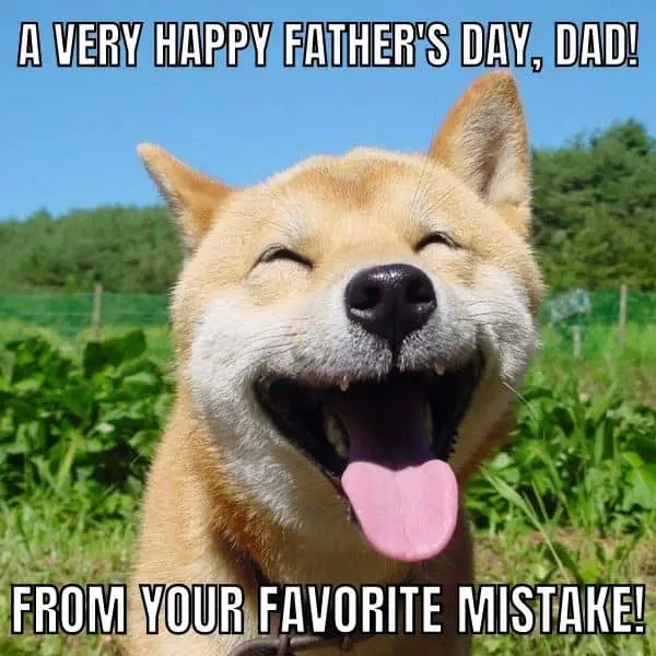Father's Day Dog Meme