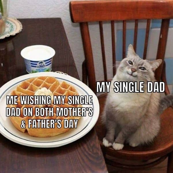 Father's Day Single Dad Meme