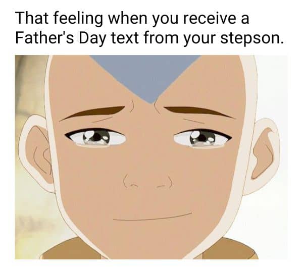 Father's Day Stepson Meme