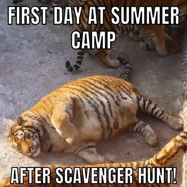 First Day At Summer Camp Meme on Fat Tiger