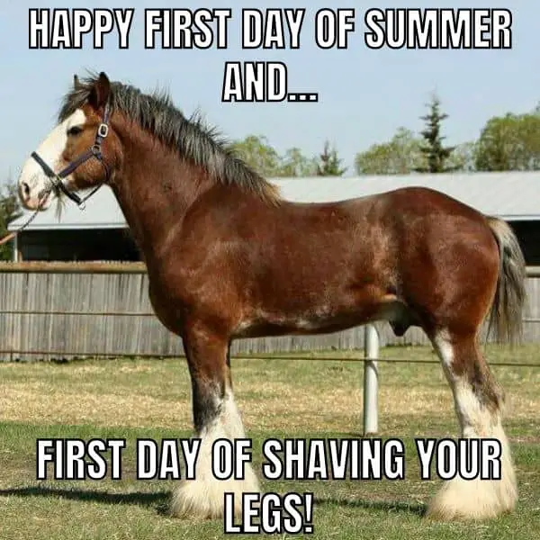 First Day Of Shaving Legs Meme on Summer