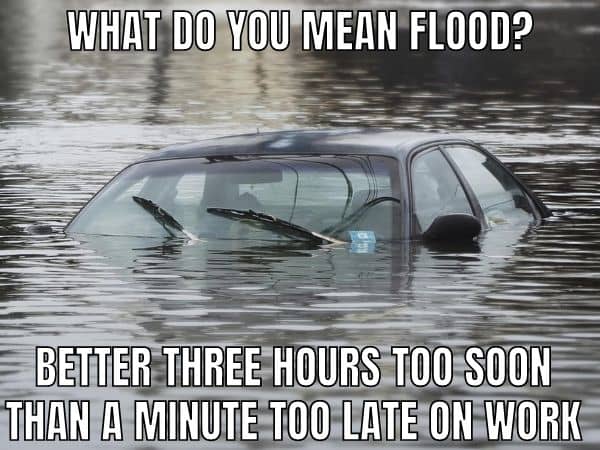 Flood Meme on Work