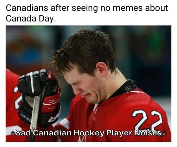 Funny Canada Day Meme on Hockey Player