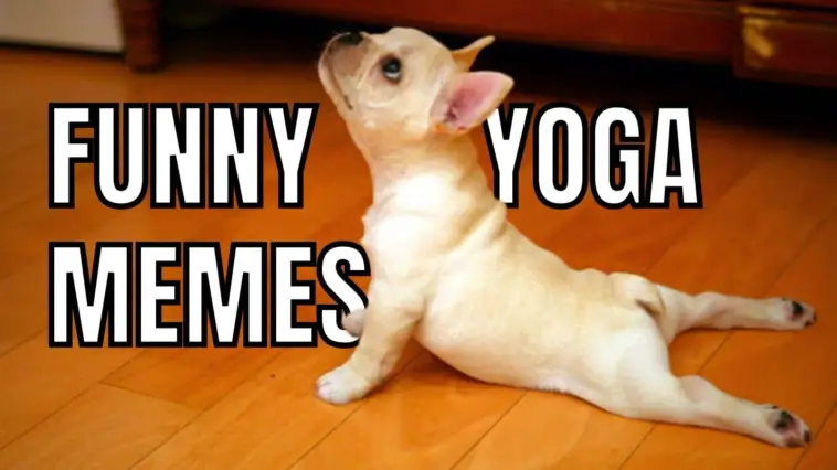 25 Yoga Memes That Are Really A Bit Of A Stretch In 2023