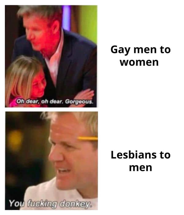 Gay Men and Lesbians Meme