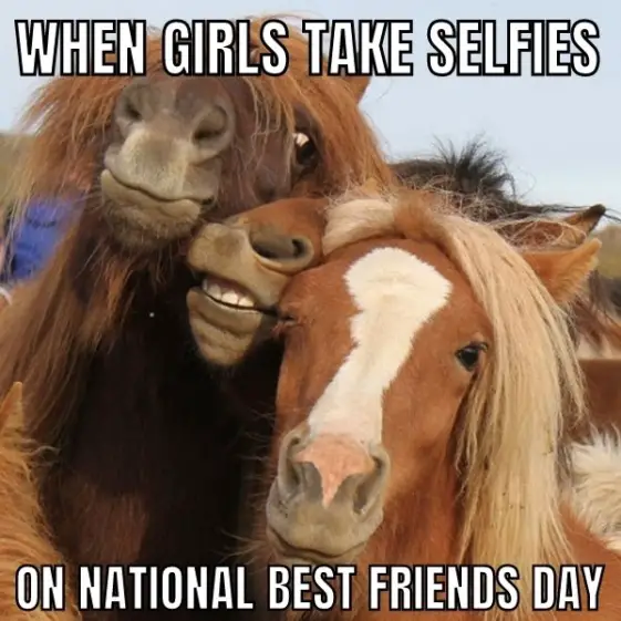 22 National Best Friends Day Memes For BFF In 2023