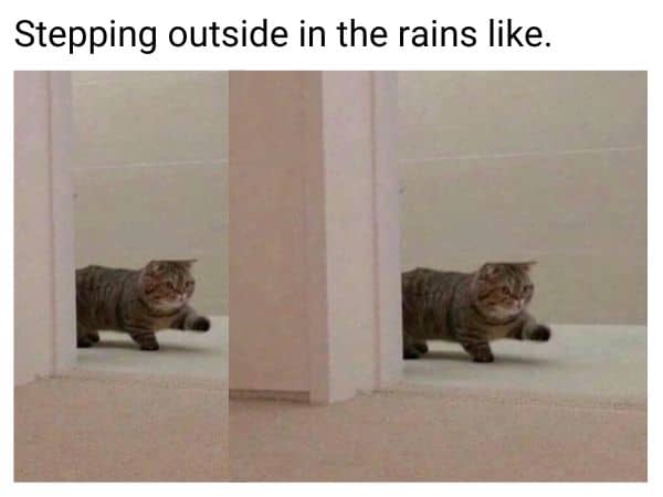 Going Outside in Rain Meme