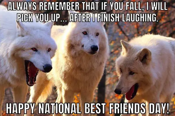 Happy National Best Friends Day Meme on Wolf