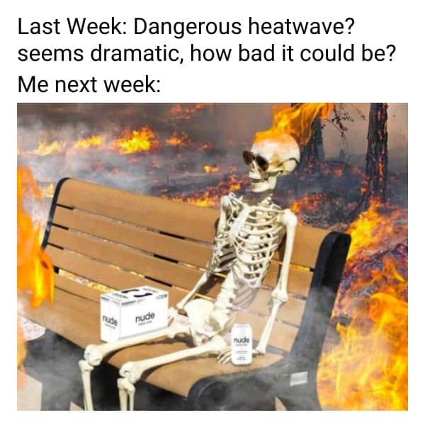 Heatwave Meme on Fire Skeleton