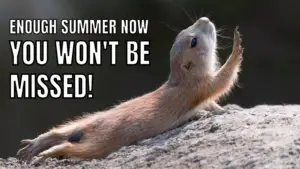 Hot Weather Memes on Summer