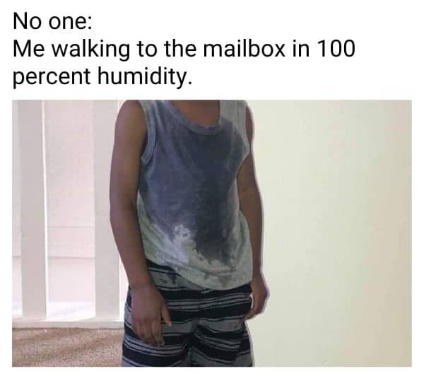 Humidity Meme on Summer